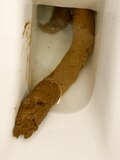 Toilet pics