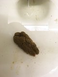 small turd left in the toilet at work