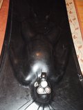 In a rubber vacuumbed - album 5