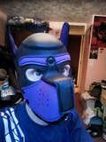 Purple puppy hood