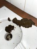 Runny shit over public toilet