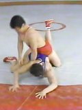 Japanese wrestling