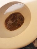 2º trip Girlfriend Toilet Diarrhea 10/05/2018