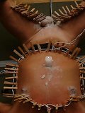 slave is a masochist - clothespins (pegs)