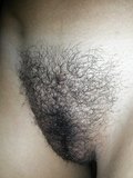 HAIRY PUSSIES