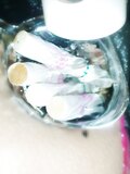 Anal ashtray