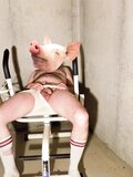 Pig Posing for Daddy