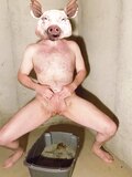 Pig Posing for Daddy