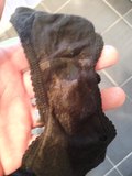 Dirty Panties 6