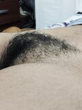 NEAT AND TIDY TRIMMED PUSSIES