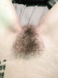 NEAT AND TIDY TRIMMED PUSSIES