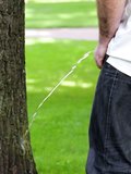 It’s hard to look away when a guy letting it out against a tree in public.