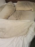 My Unwashed Smelly Bed
