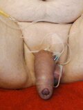 Needle in Cock