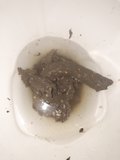 Toilet clogger