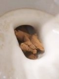 PoopMaster68 - Wet Mouth Dump