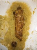 Chinese college students' toilet poop