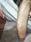 Indian 10 inch athletes lund cock dick deshi