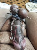 Cock tortured with pins and shit