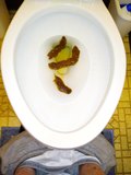 5/28/2023 Bowel Movement in the Toilet