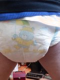 My Teddy Ultra L filled with pee