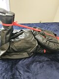 Leather Bear Bound and Gagged