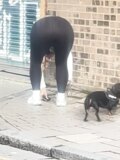 Sexy brunette dog walker