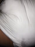 My Pipi diaper