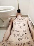 living toilet brush