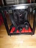 Caged pup