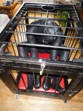 Caged pup