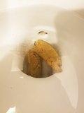 Toilet poop - album 3