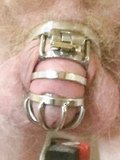 New smaller cock cage