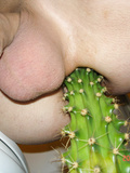 Anus and insert a cactus