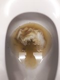 This was the SEXIEST dump from the SEXIEST young bearded guy. He flushed but clogged it up. The sounds were music to my ears !!!!