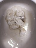 Hot bald guy with a baseball cap maybe in his 30's took a sloppy shit. I couldn't move this to my toilet because of how loose it was but here you go.