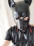 Rubber dog