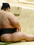 Sumo 'Matawari' and other stretches