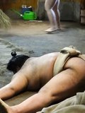 Sumo 'Matawari' and other stretches