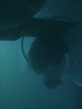 Underwater/Drowning