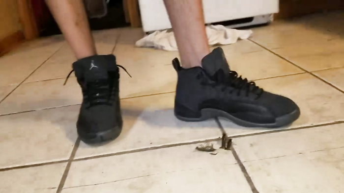 Dboy and Tim do not want there shoes dontoy want them?