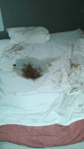 Dirty Bed