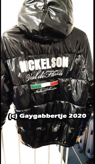 Nickelson Jacket \ Down Jacket \ Shiny jacket