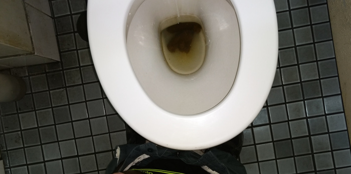 Toilet Poop