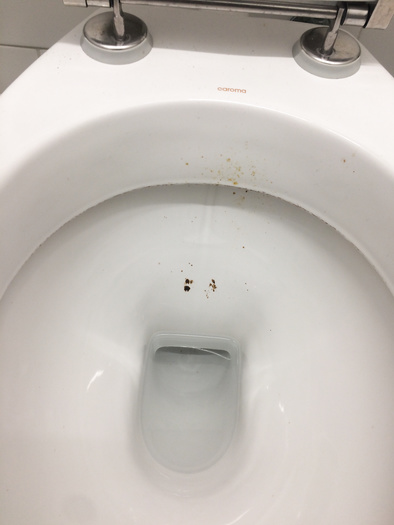 Men's work toilets