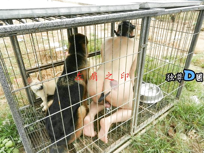 Asian Dog Slaves