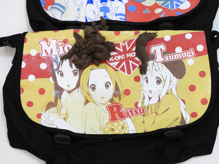 Pooping to a Japanese anime goods 4