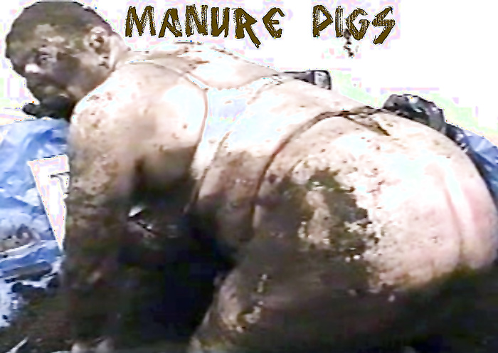 Manure Pig 1