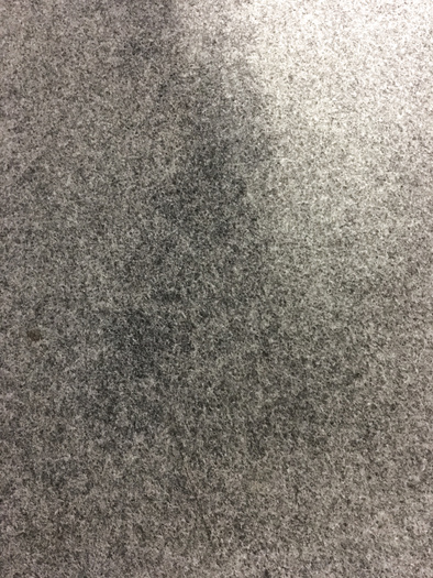 More carpet pissing