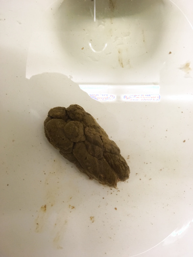 small turd left in the toilet at work